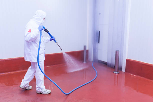 Professional Pressure Washing Services in Eastland, TX